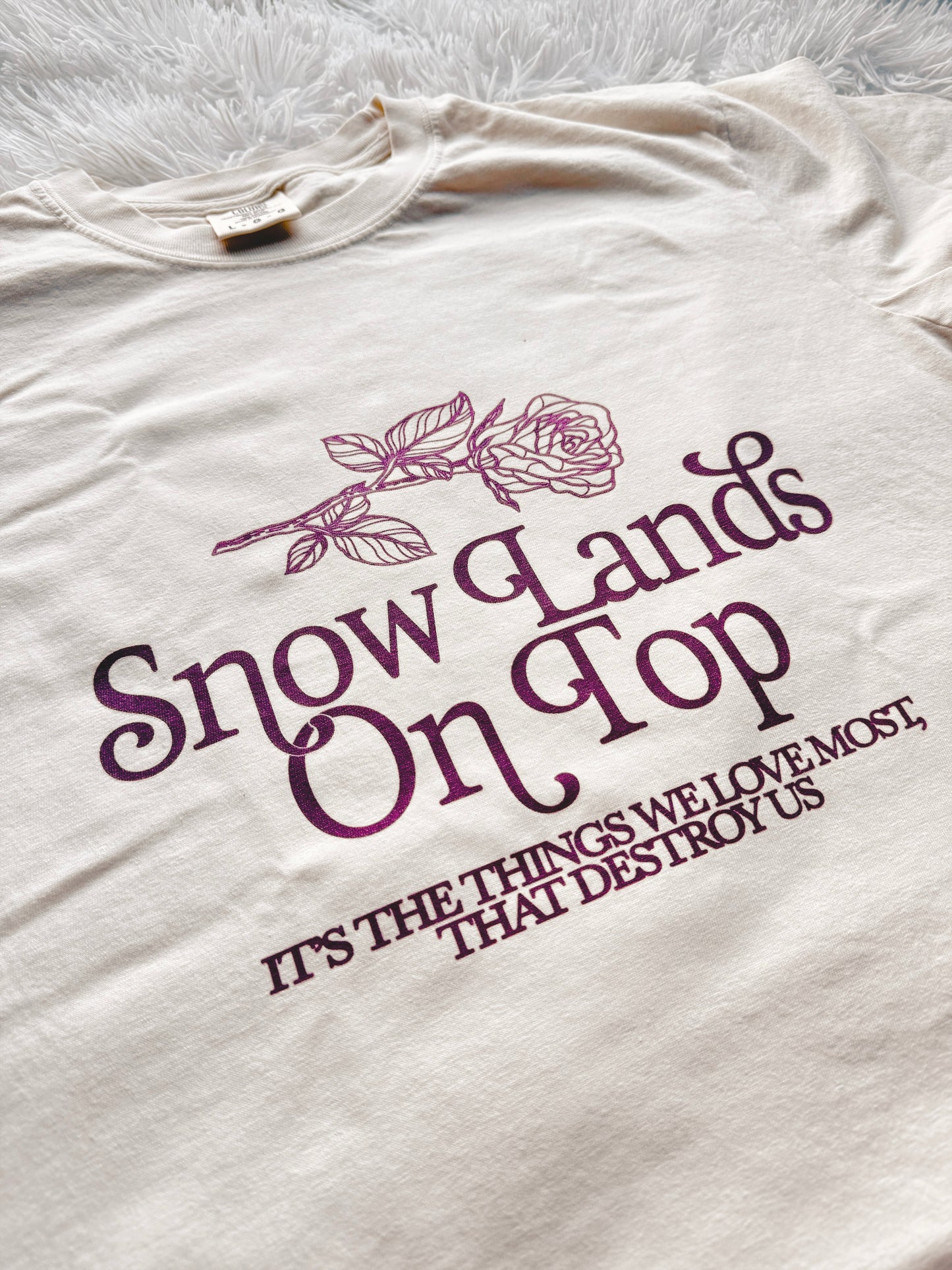 SNOW LANDS ON TOP