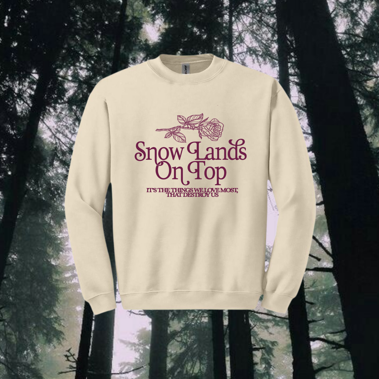 SNOW LANDS ON TOP