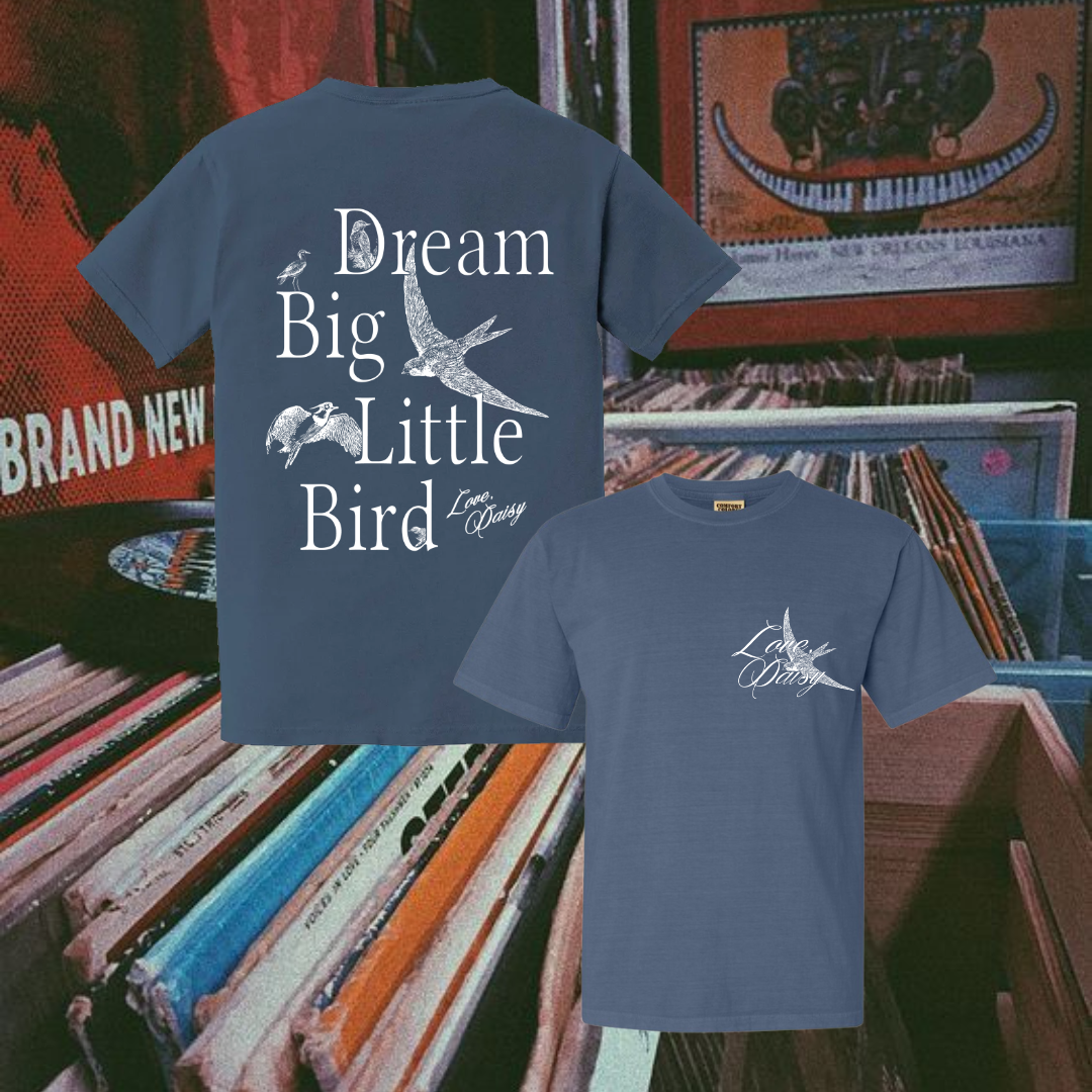 DREAM BIG LITTLE BIRD
